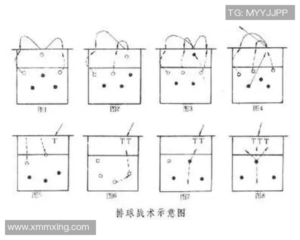深圳排球队进攻策略分析与战术解读助力球队崛起